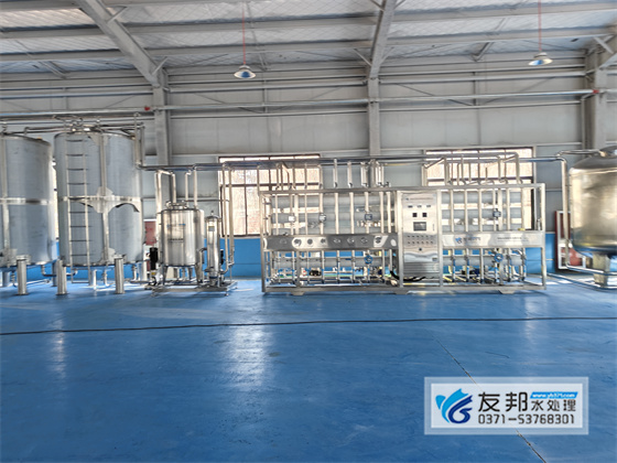 20T/H雙級純凈水設(shè)備